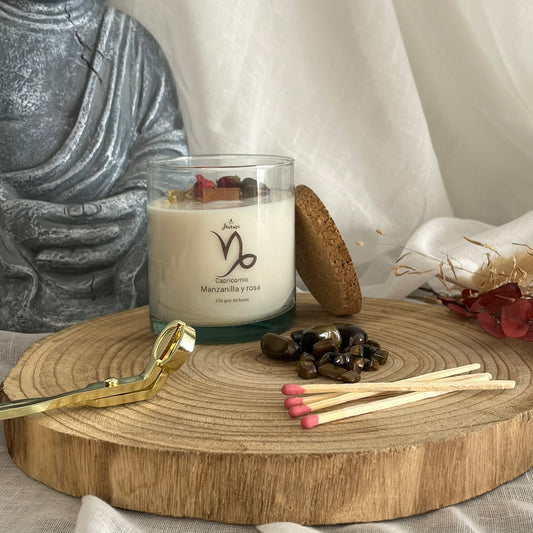 Capricornio – Fortaleza y Propósito