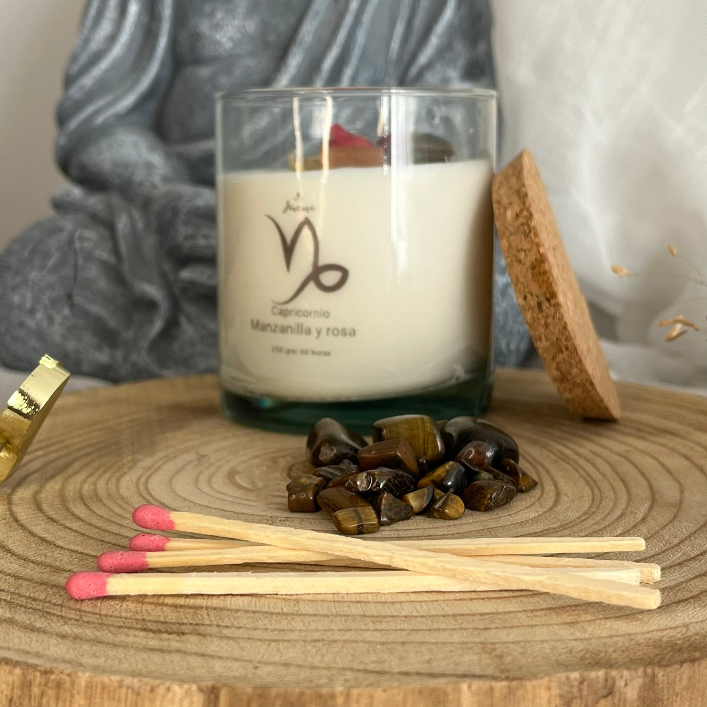 Capricornio – Fortaleza y Propósito