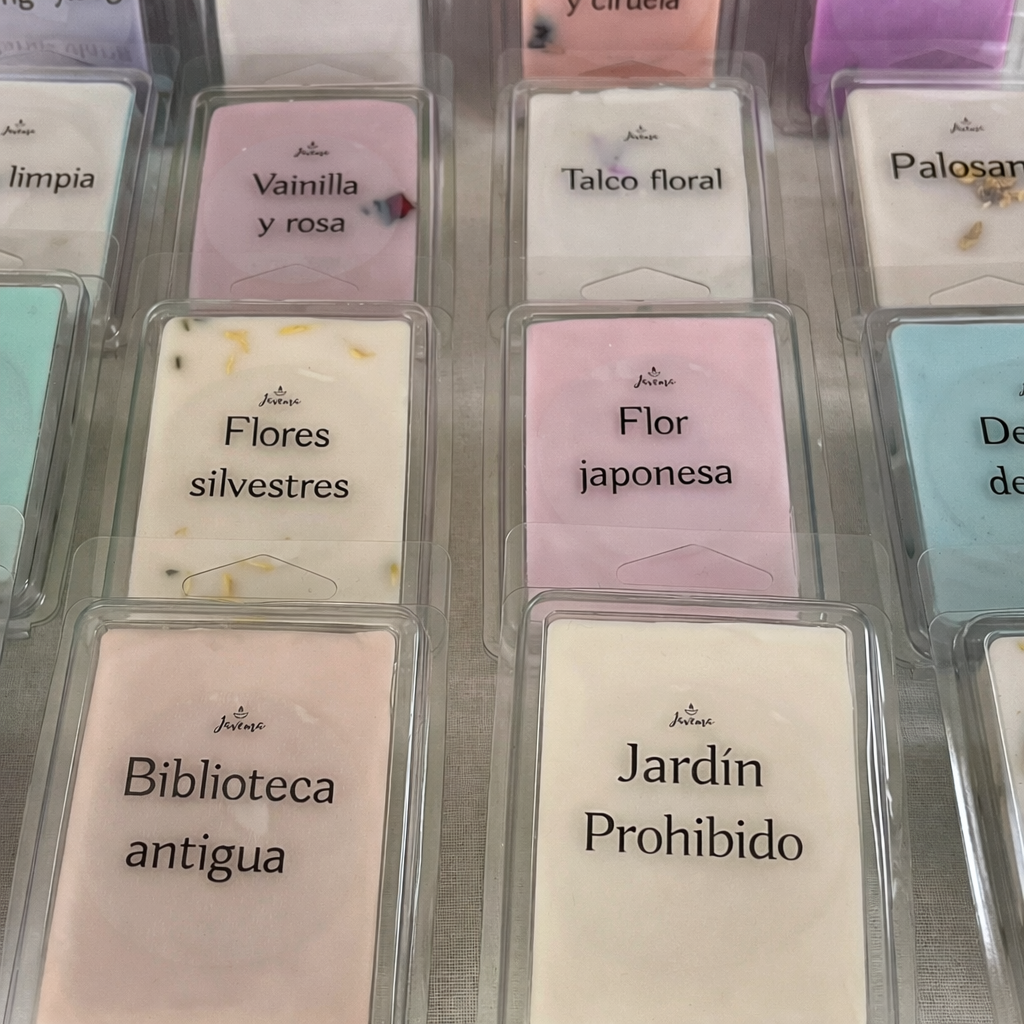 Wax Melts Biblioteca Antigua