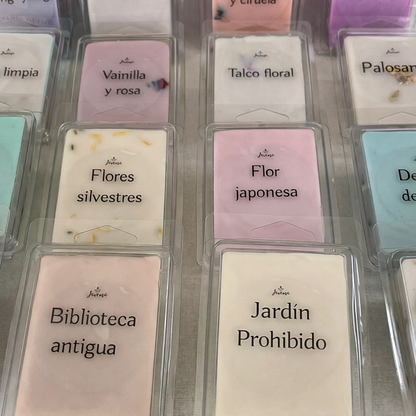 Wax Melts Biblioteca Antigua