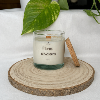 Pack Flores silvestres y quemador Primavera