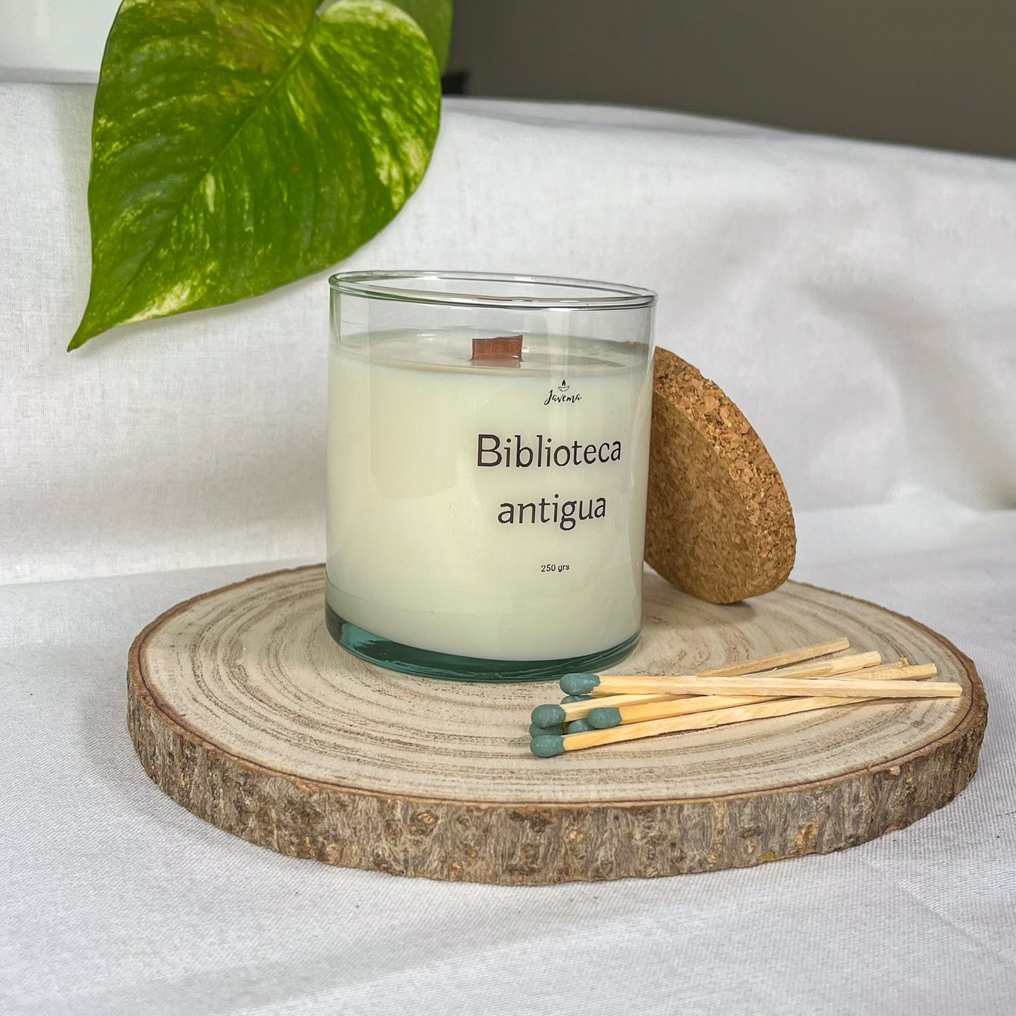 Vela Esencial de Biblioteca Antigua