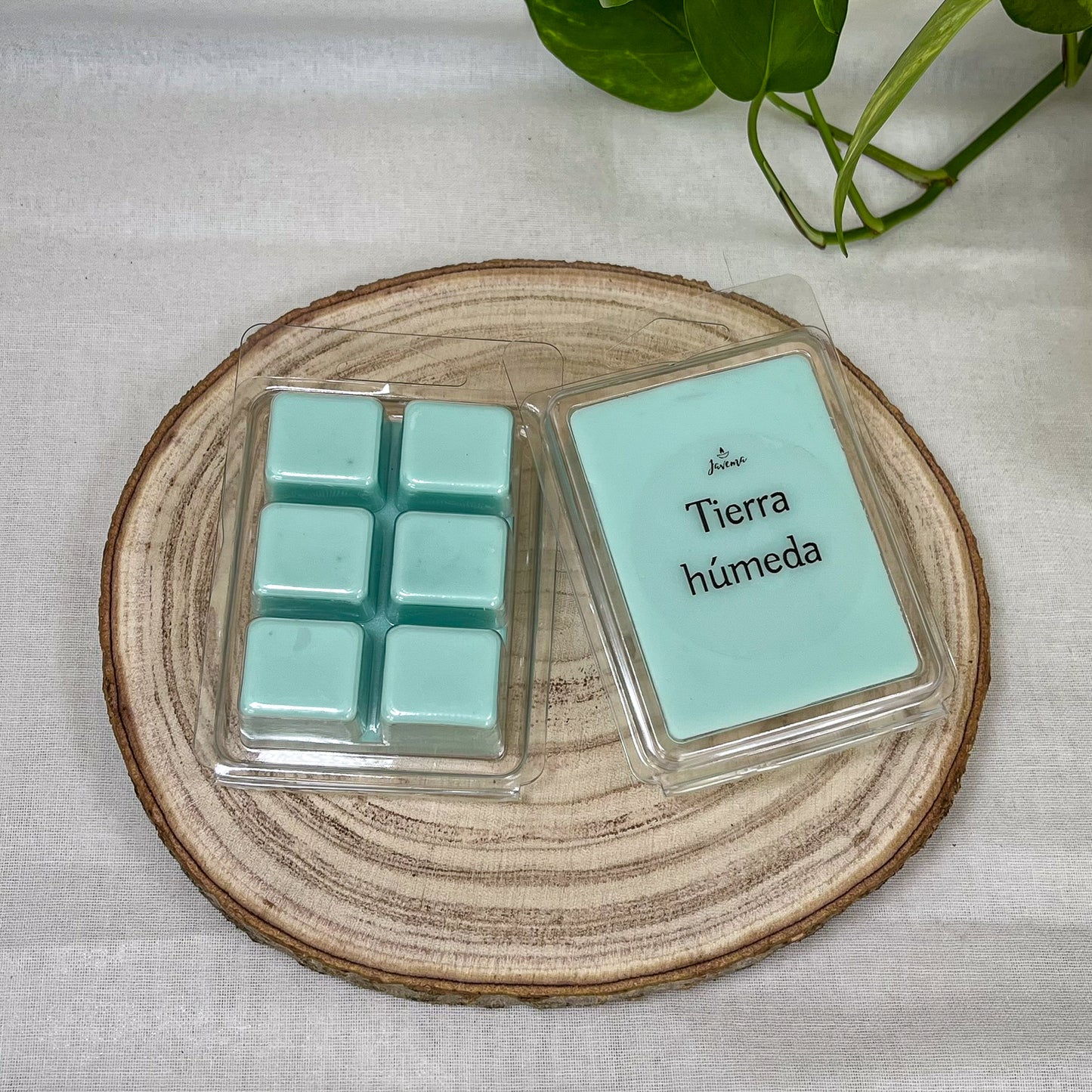 Wax Melts de Soja 85 g – Tierra Húmeda