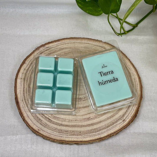 Wax Melts de Soja 85 g – Tierra Húmeda