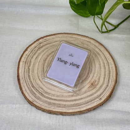 Pack Quemador Mediano Desierto + Wax Melts