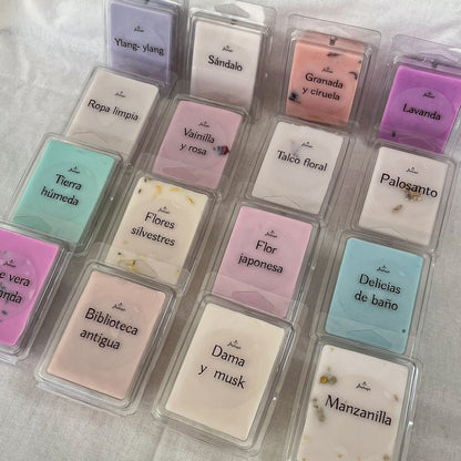 Wax Melts de Soja 85 g – Biblioteca Antigua