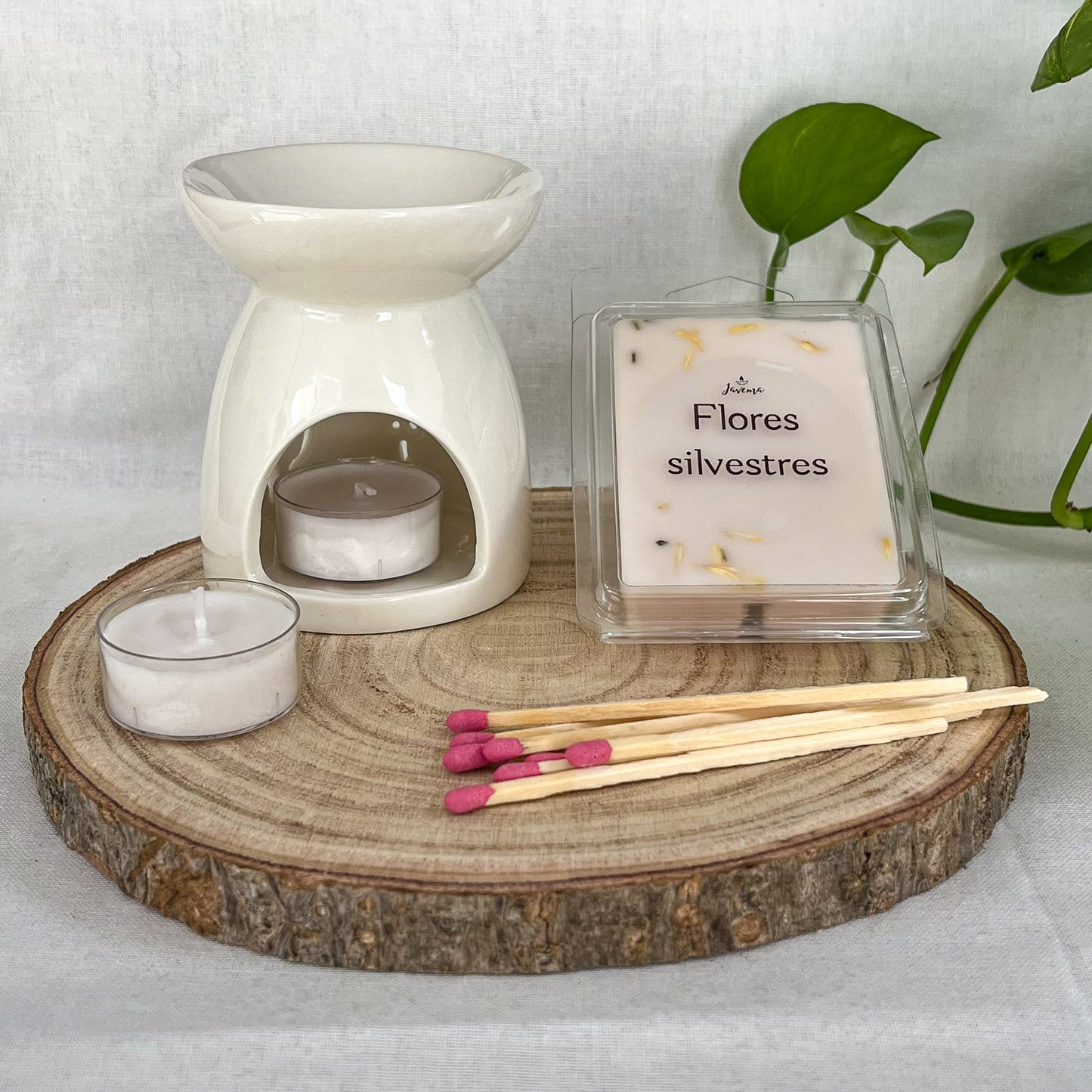 Pack Quemador Pequeño Primavera + Wax Melts