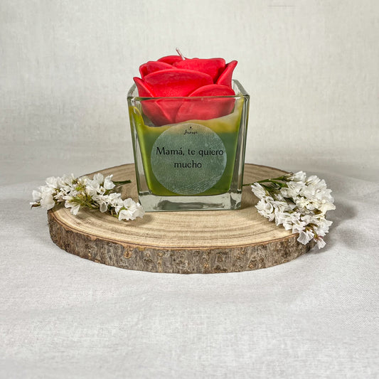 Rosa en vaso