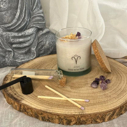 Aries – Energía y Renacimiento