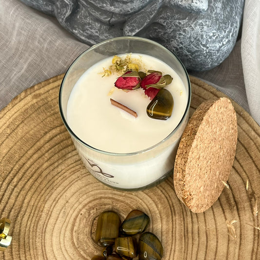 Capricornio – Fortaleza y Propósito