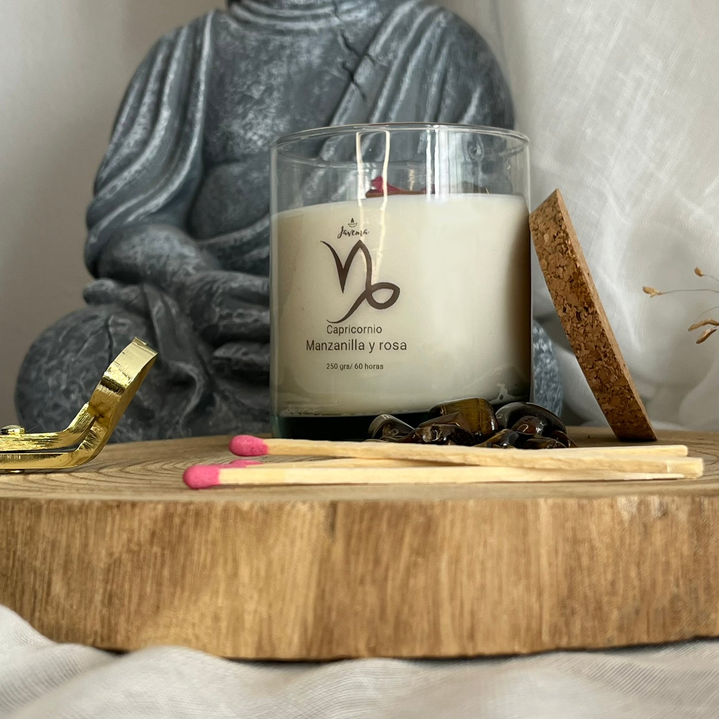 Capricornio – Fortaleza y Propósito