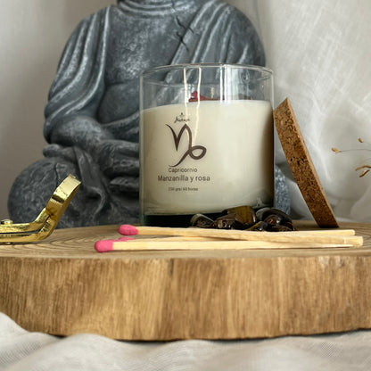 Capricornio – Fortaleza y Propósito