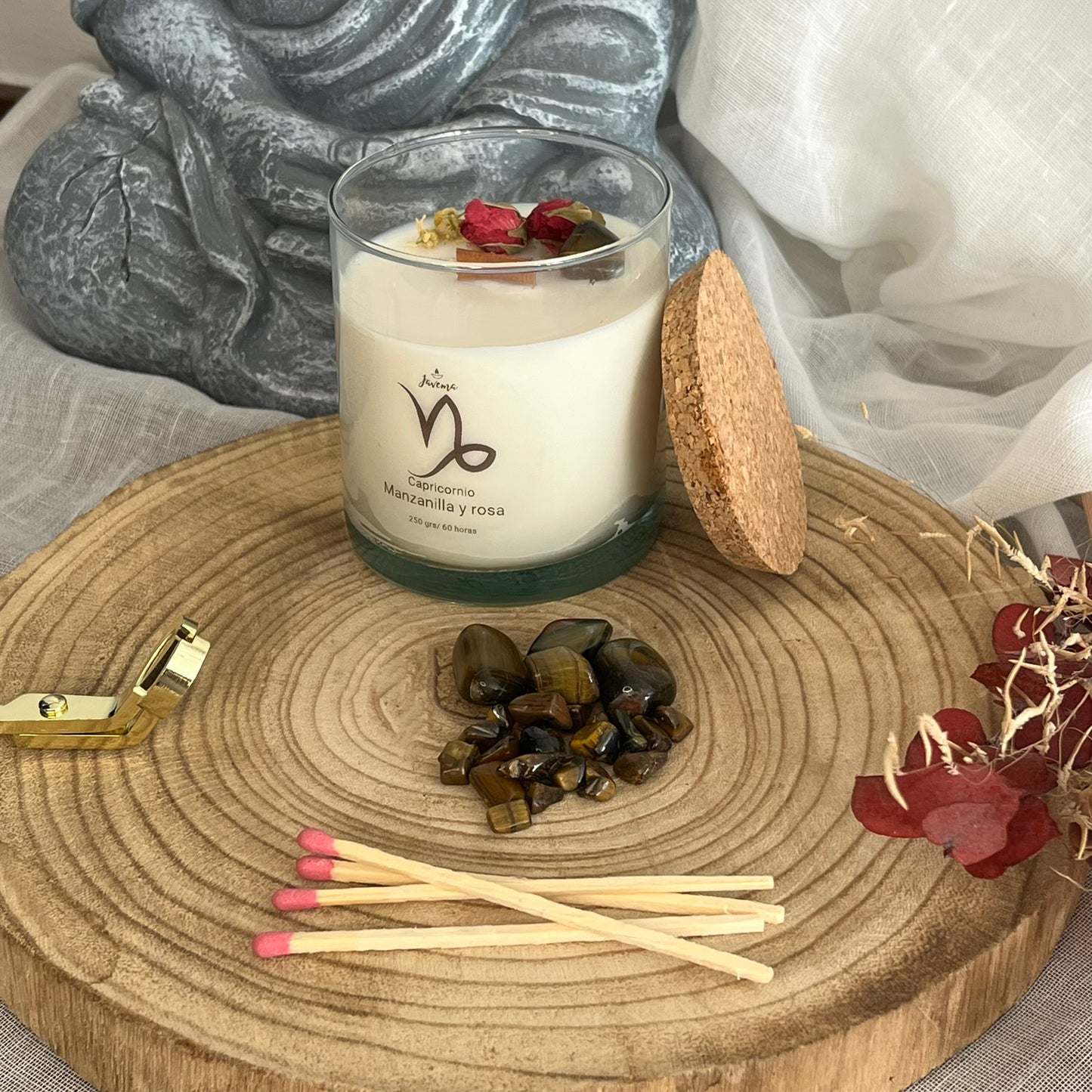 Capricornio – Fortaleza y Propósito