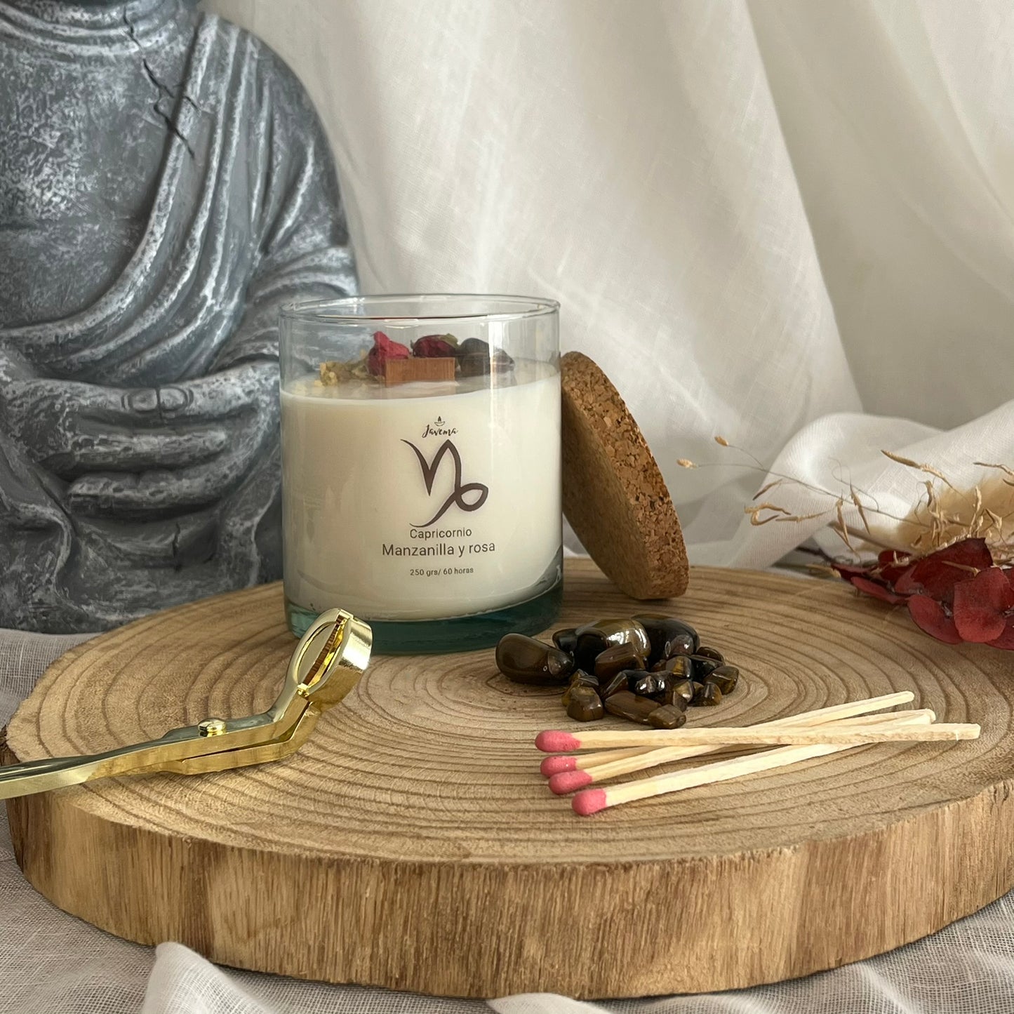 Capricornio – Fortaleza y Propósito