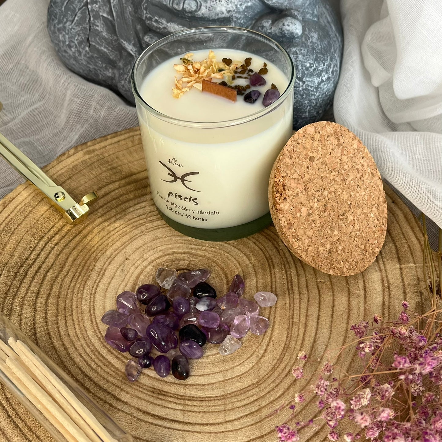 Piscis – Dulzura y Sensibilidad