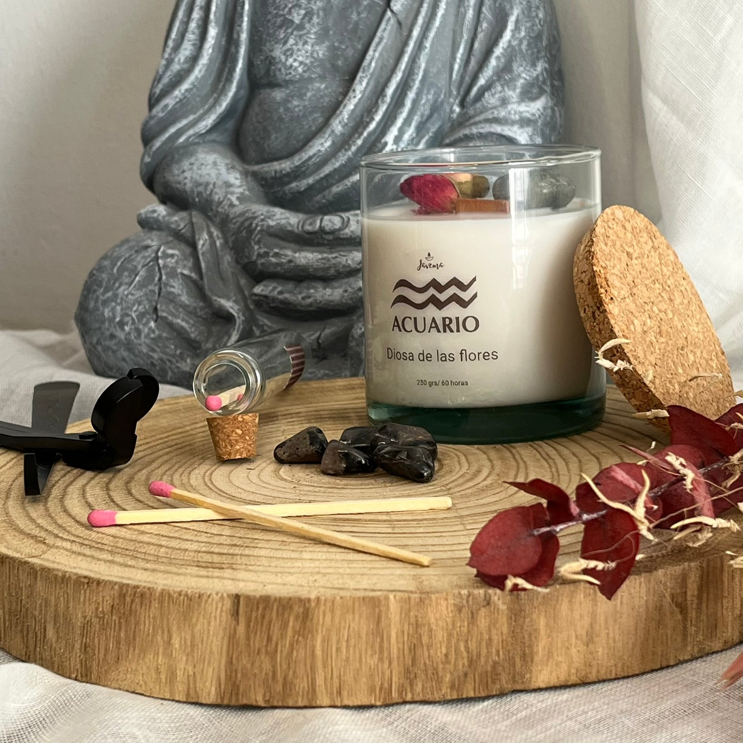 Acuario – Esencia de Libertad