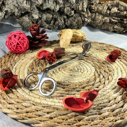 Kit de Cuidado para Velas – El arte de mimar la llama