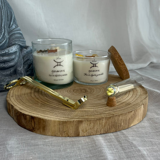 Géminis - Inspiración y movimiento