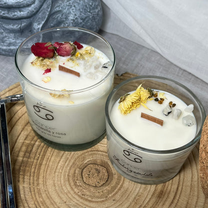 Cáncer – Intuición y Hogar