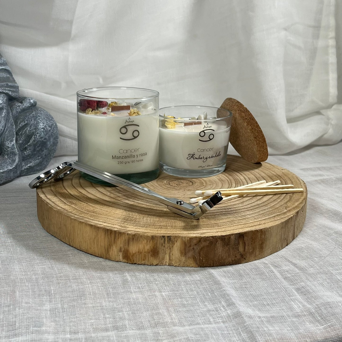 Cáncer – Intuición y Hogar