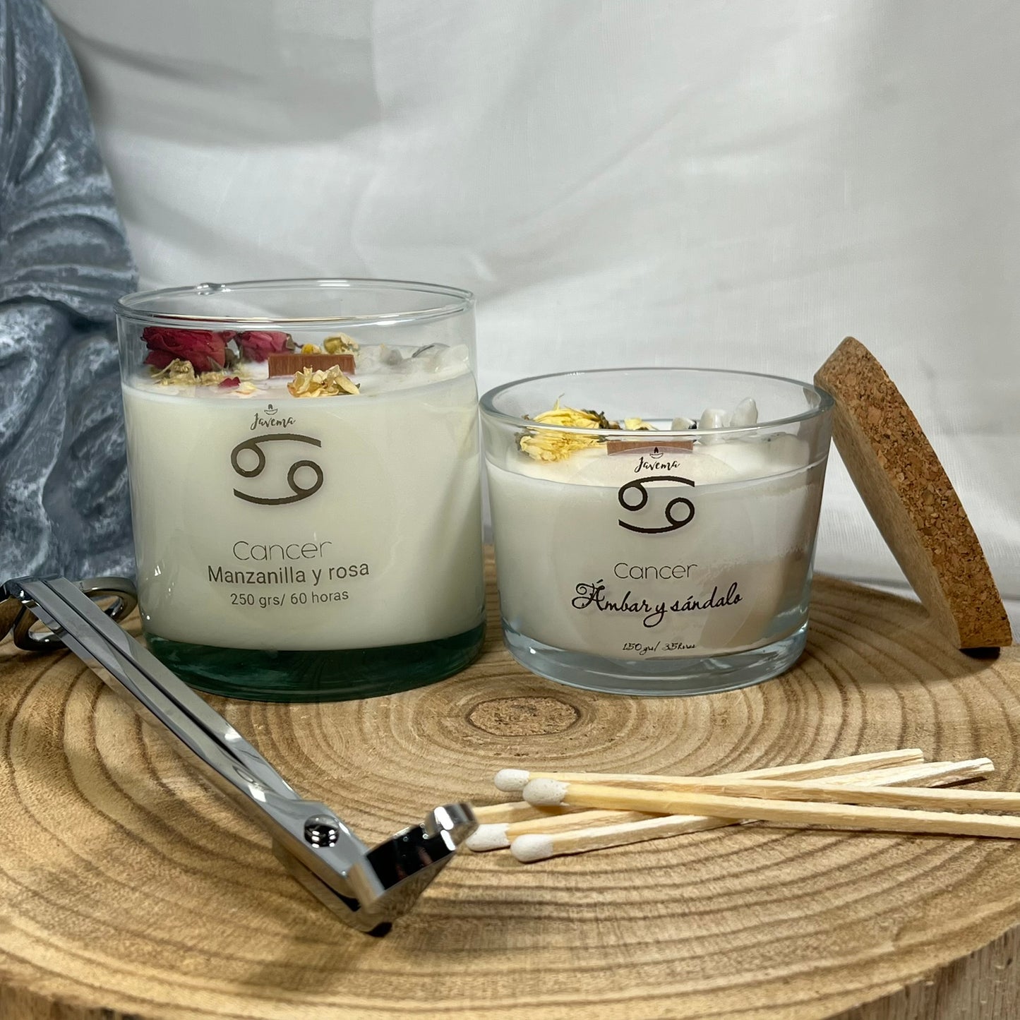 Cáncer – Intuición y Hogar