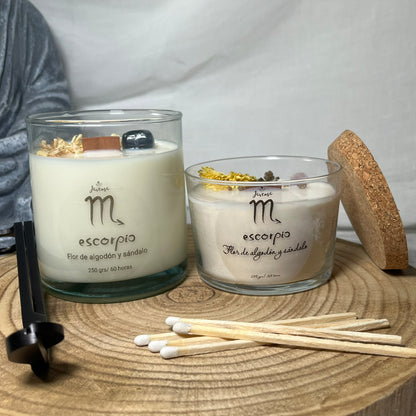 Escorpio – Pasión y Transformación