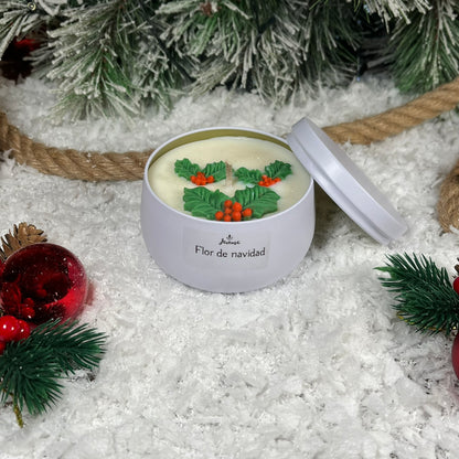 Flor de Navidad – La esencia más tierna del invierno