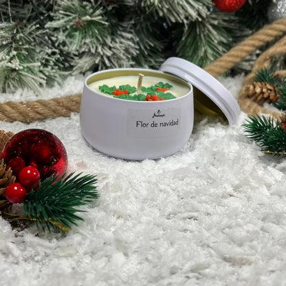 Flor de Navidad – La esencia más tierna del invierno