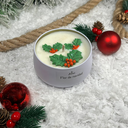 Flor de Navidad – La esencia más tierna del invierno