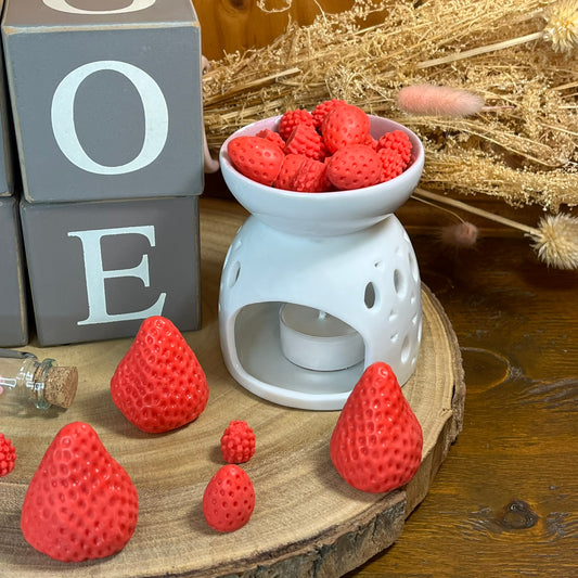 Wax melts Frutos rojos