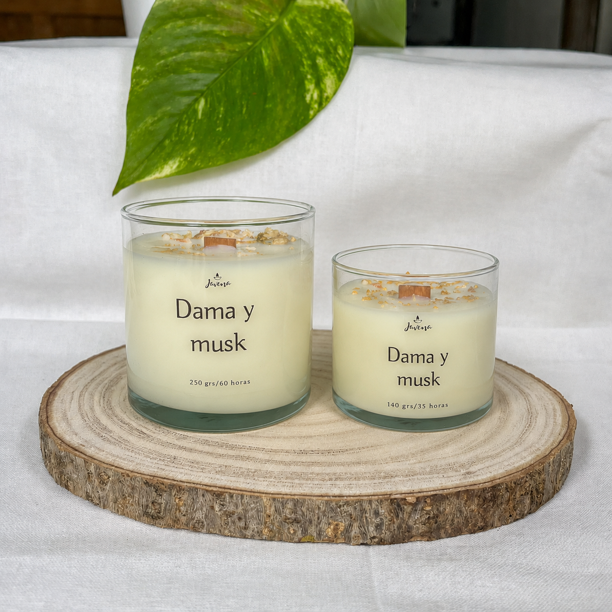 Vela Dama y Musk con Cerillas